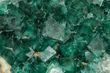 Green Fluorescent Cubic Fluorite Crystals - Madagascar #358904-1
